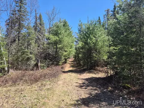 Other - 13551 County Road Cs, Ishpeming, MI 49849 photo 14 of 22