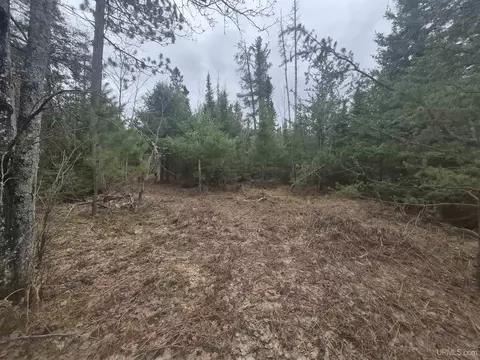 Exterior - 13551 County Road Cs, Ishpeming, MI 49849 photo 11 of 14