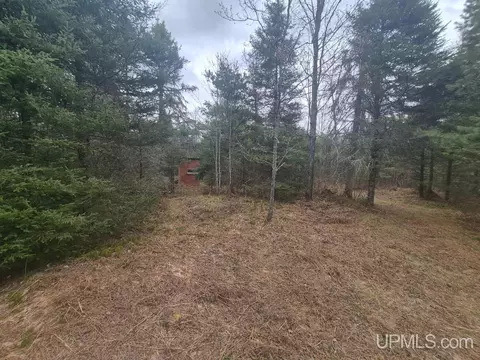 Exterior - 13551 County Road Cs, Ishpeming, MI 49849 photo 8 of 14