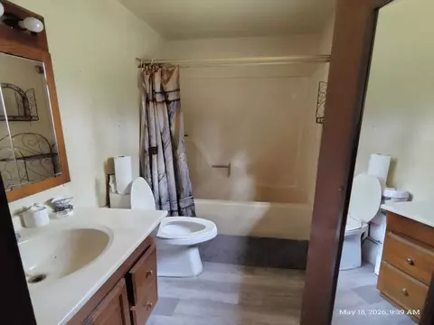 Bath - 6230 Shellenbarger, Hale, MI 48739 photo 2 of 4