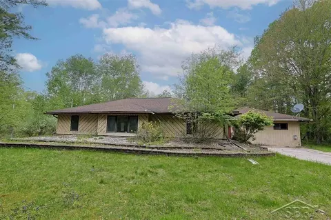 1156 S Alamando, Shepherd, MI 48883