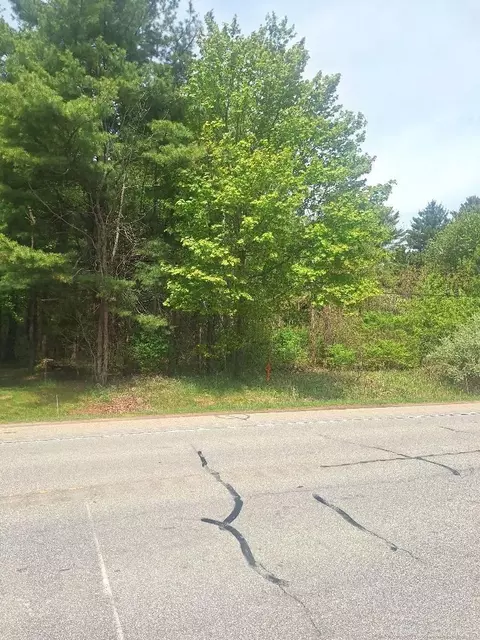 Parcel 2 Lakeshore, Applegate, MI 48401 photo 26