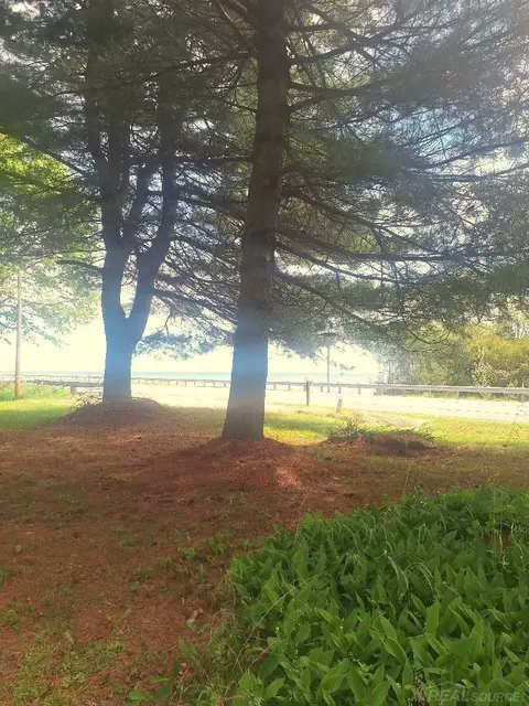 Parcel 2 Lakeshore, Applegate, MI 48401 photo 8
