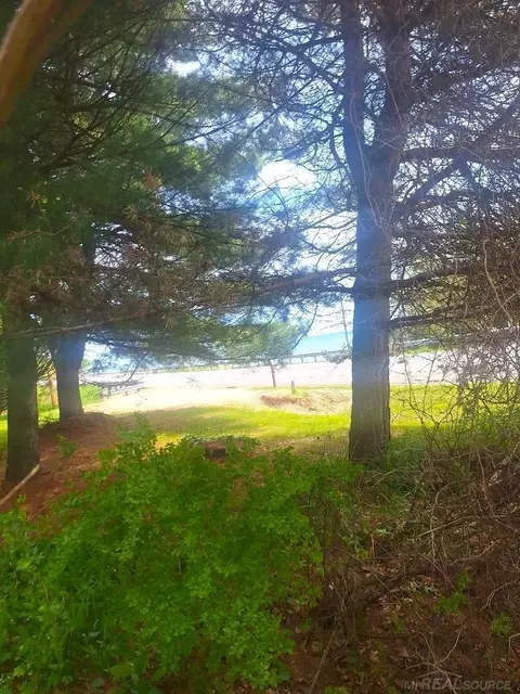 Parcel 2 Lakeshore, Applegate, MI 48401 photo 9