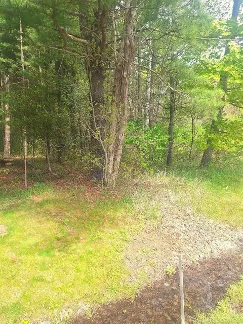 Parcel 2 Lakeshore, Applegate, MI 48401 photo 14