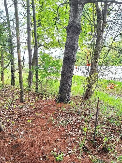 Parcel 2 Lakeshore, Applegate, MI 48401 photo 13
