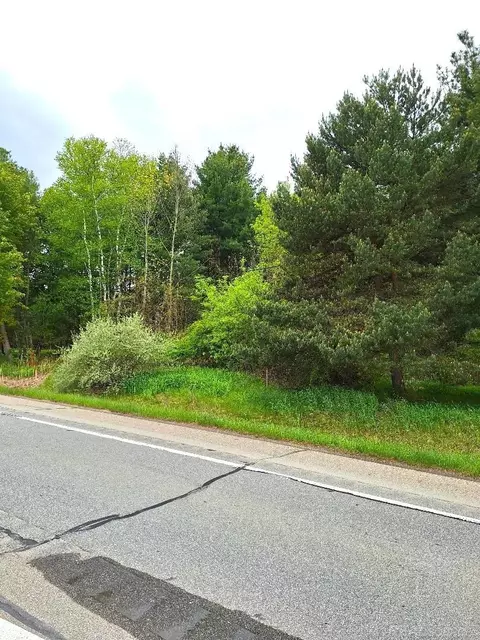 Parcel 2 Lakeshore, Applegate, MI 48401 photo 10