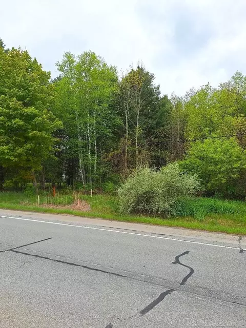 Parcel 2 Lakeshore, Applegate, MI 48401 photo 12