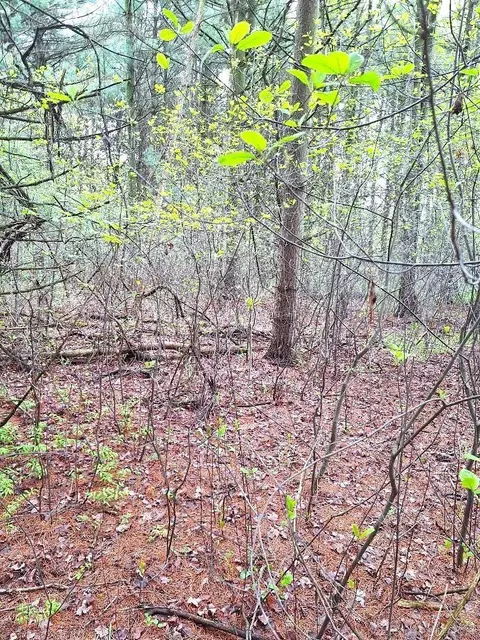 Parcel 2 Lakeshore, Applegate, MI 48401 photo 21