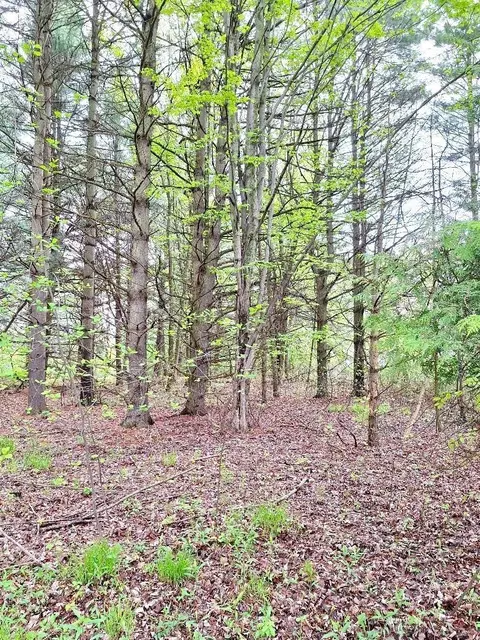 Parcel 2 Lakeshore, Applegate, MI 48401 photo 23