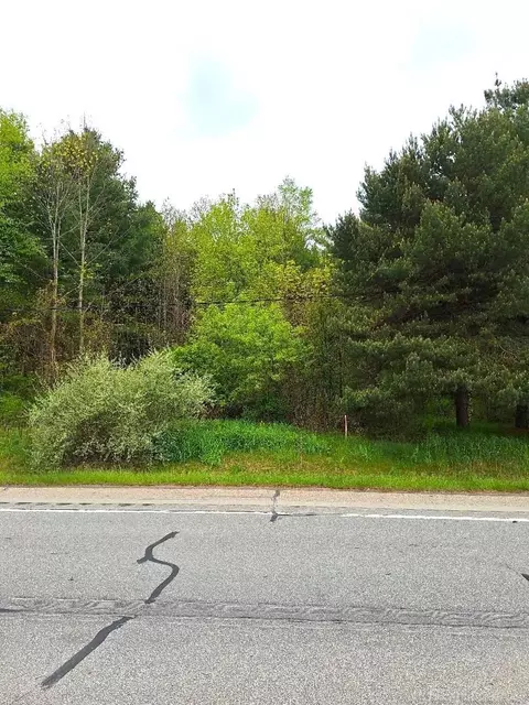 Parcel 2 Lakeshore, Applegate, MI 48401 photo 11