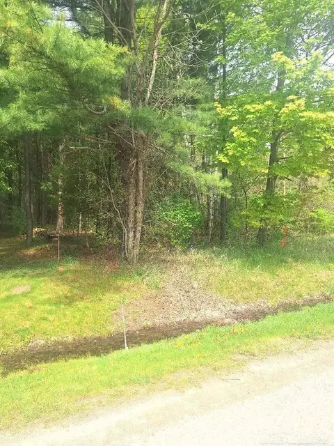 Parcel 2 Lakeshore, Applegate, MI 48401 photo 25