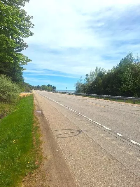 Parcel 2 Lakeshore, Applegate, MI 48401 photo 6