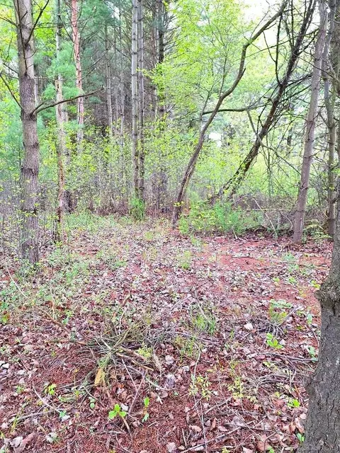 Parcel 2 Lakeshore, Applegate, MI 48401 photo 22