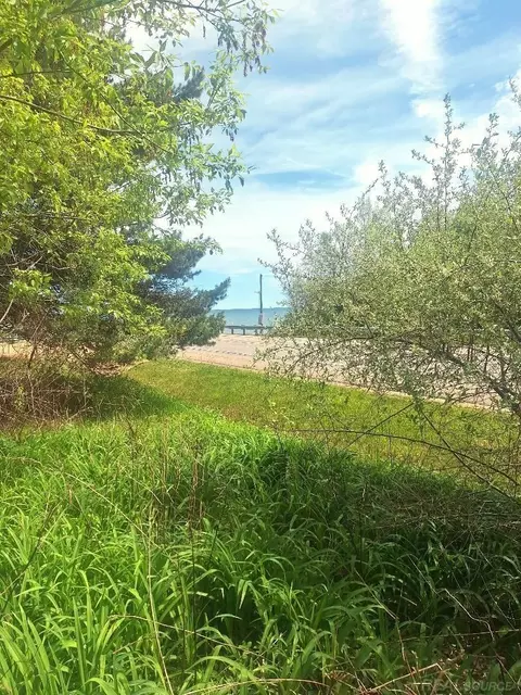 Parcel 2 Lakeshore, Applegate, MI 48401 photo 7