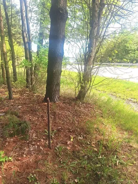 Parcel 2 Lakeshore, Applegate, MI 48401 photo 5