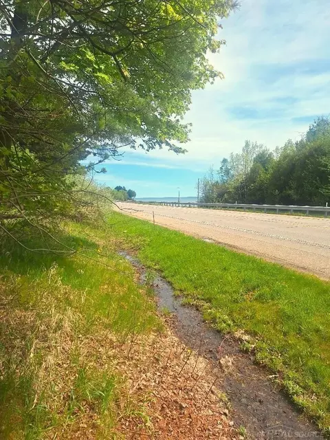 Parcel 2 Lakeshore, Applegate, MI 48401 photo 4