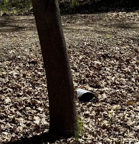 4950 Squirrel, Farwell, MI 48622 photo 2