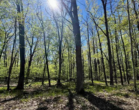 4950 Squirrel, Farwell, MI 48622 photo 3