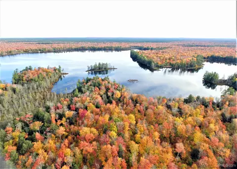 Nnn Nevins Lake, Shingleton, MI 49884