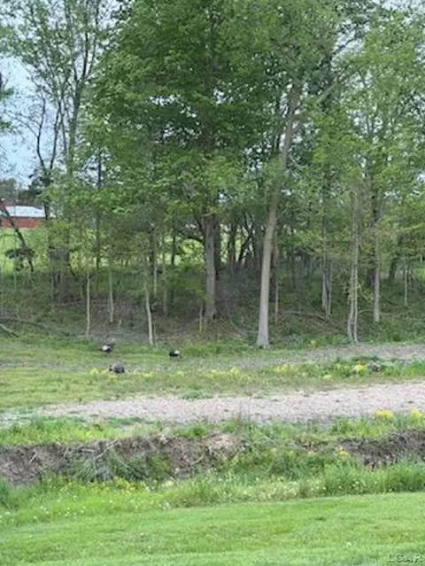 Other - 5397 Elm, Hudson, MI 49247 photo 29 of 41