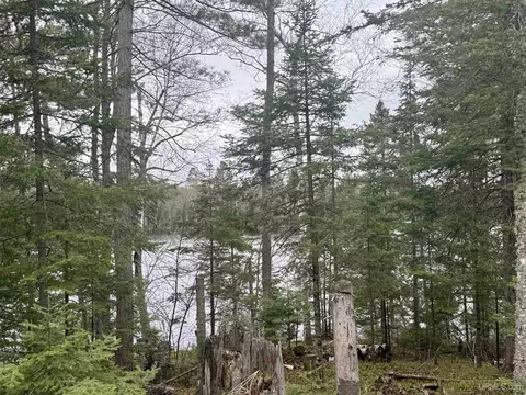 tbd N Horseshoe Lk, Republic, MI 49879