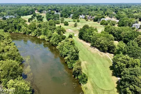 View/Area - 7432 River, Flushing, MI 48433 photo 3 of 7