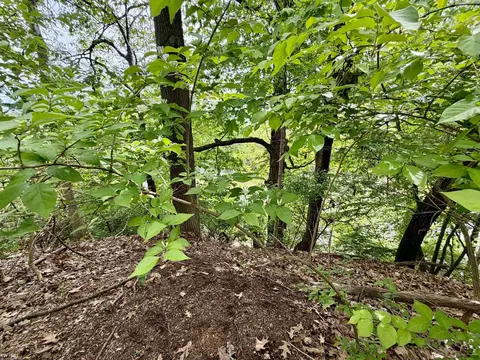 View/Area - 7432 River, Flushing, MI 48433 photo 1 of 2