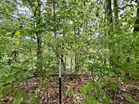 Other - 7432 River, Flushing, MI 48433 photo 4 of 8