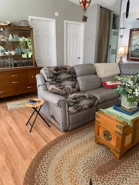 Living - 917 Chappel Dm, Gladwin, MI 48624 photo 2 of 4