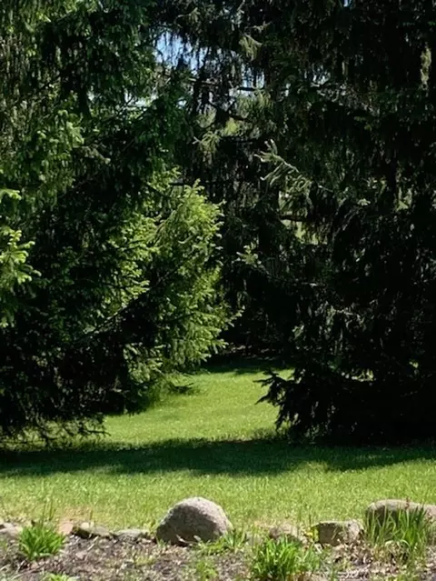 Exterior - 917 Chappel Dm, Gladwin, MI 48624 photo 7 of 10