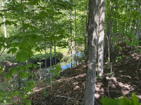 View/Area - 8872 Bryce, Kenockee, MI 48006 photo 2 of 3
