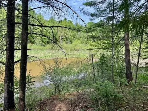 View/Area - 3870 N M 30, Gladwin, MI 48624 photo 1 of 3