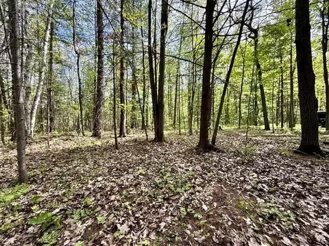 Exterior - 3870 N M 30, Gladwin, MI 48624 photo 14 of 15