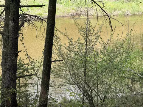 View/Area - 3870 N M 30, Gladwin, MI 48624 photo 2 of 3