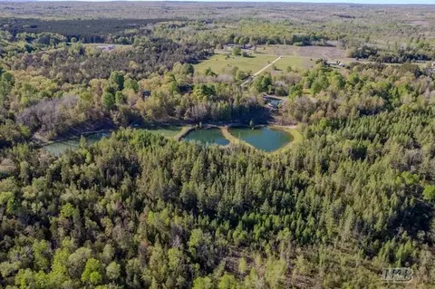 View/Area - 8818 Arnold Lk, Harrison, MI 48625 photo 11 of 16