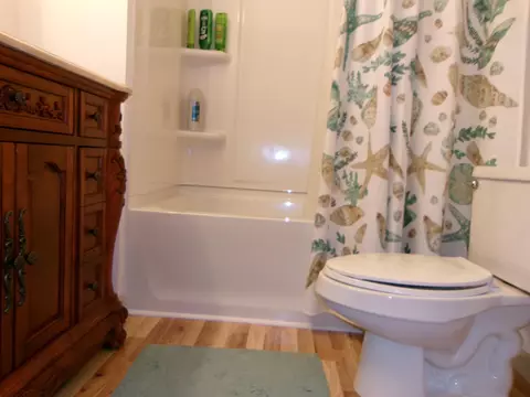 Bath - 612 Pine, Harrison, MI 48625 photo 4 of 6