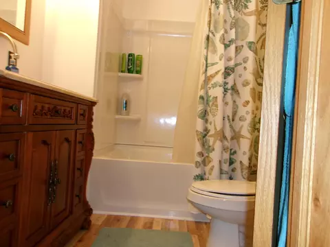 Bath - 612 Pine, Harrison, MI 48625 photo 3 of 6