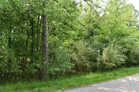 lot271 Islanders, Gladwin, MI 48624 photo 2