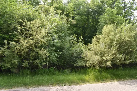 lot271 Islanders, Gladwin, MI 48624 photo 3