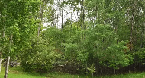 lot271 Islanders, Gladwin, MI 48624 photo 4