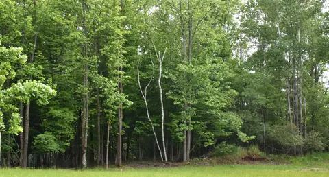 lot271 Islanders, Gladwin, MI 48624 photo 6