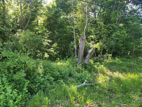 tbd 135 Eleventh, Calumet, MI 49913