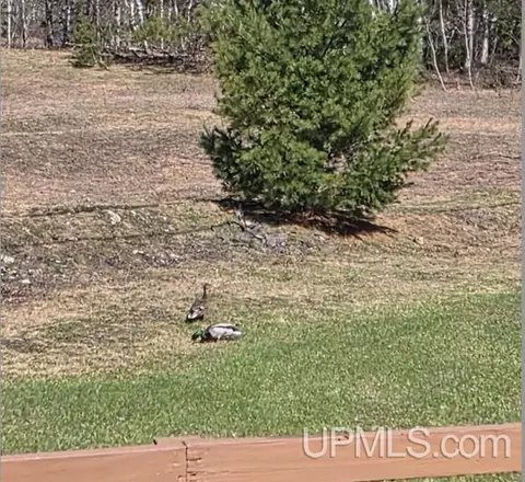 Other - 1155 Ninth, Ishpeming, MI 49849 photo 12 of 14