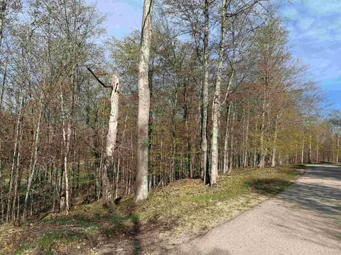 tbd County Road 479, Mcmillan, MI 49853