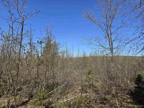 tbd Murphy, Covington, MI 49919 photo 38