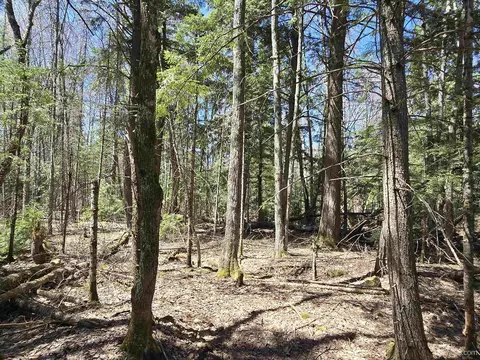 tbd Murphy, Covington, MI 49919 photo 30