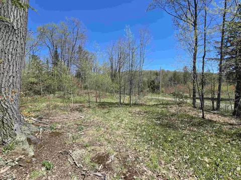 tbd Murphy, Covington, MI 49919 photo 14