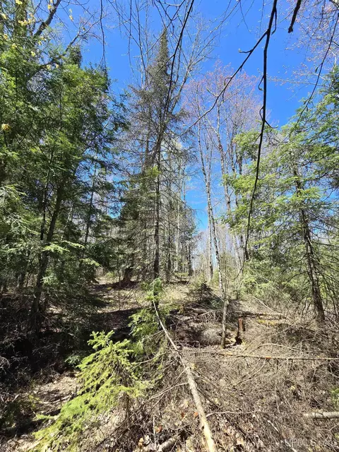 tbd Murphy, Covington, MI 49919 photo 39