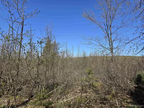 tbd Murphy, Covington, MI 49919 photo 38